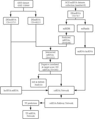 Bioinformatics-Based Analysis of the lncRNA-miRNA-mRNA Network and TF Regulatory Network to Explore the Regulation Mechanism in Spinal Cord Ischemia/Reperfusion Injury